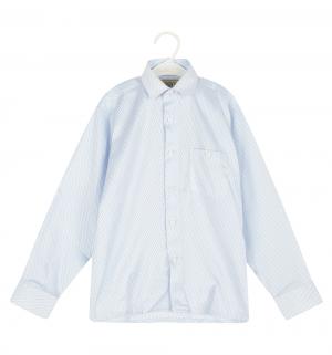 Рубашка , цвет: серый/голубой Tsarevich