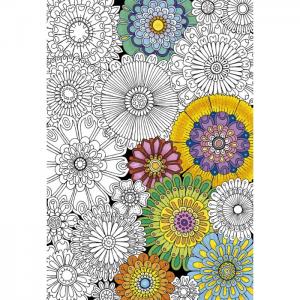 Пазл-раскраска Цветы (300 деталей) Educa