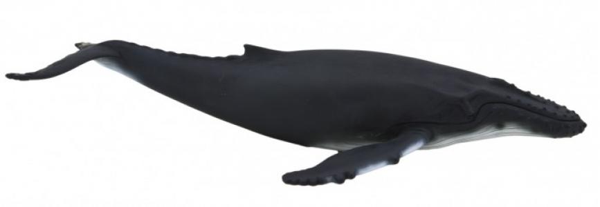 Animal Planet Горбатый кит Deluxe Mojo