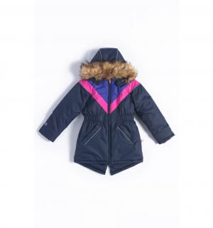 Куртка  Аврора, цвет: синий/розовый Лайки