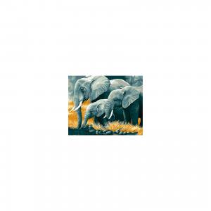 Холст с красками по номерам Слоны на водопое 40х50 см Издательство Рыжий кот