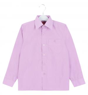 Рубашка , цвет: фиолетовый Imperator